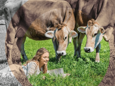 girl laying in a field reading with cows bending down to her