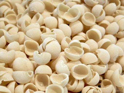 Caputo Gluten-Free Extruded Pasta Caputo Gluten-Free Extruded Pasta
