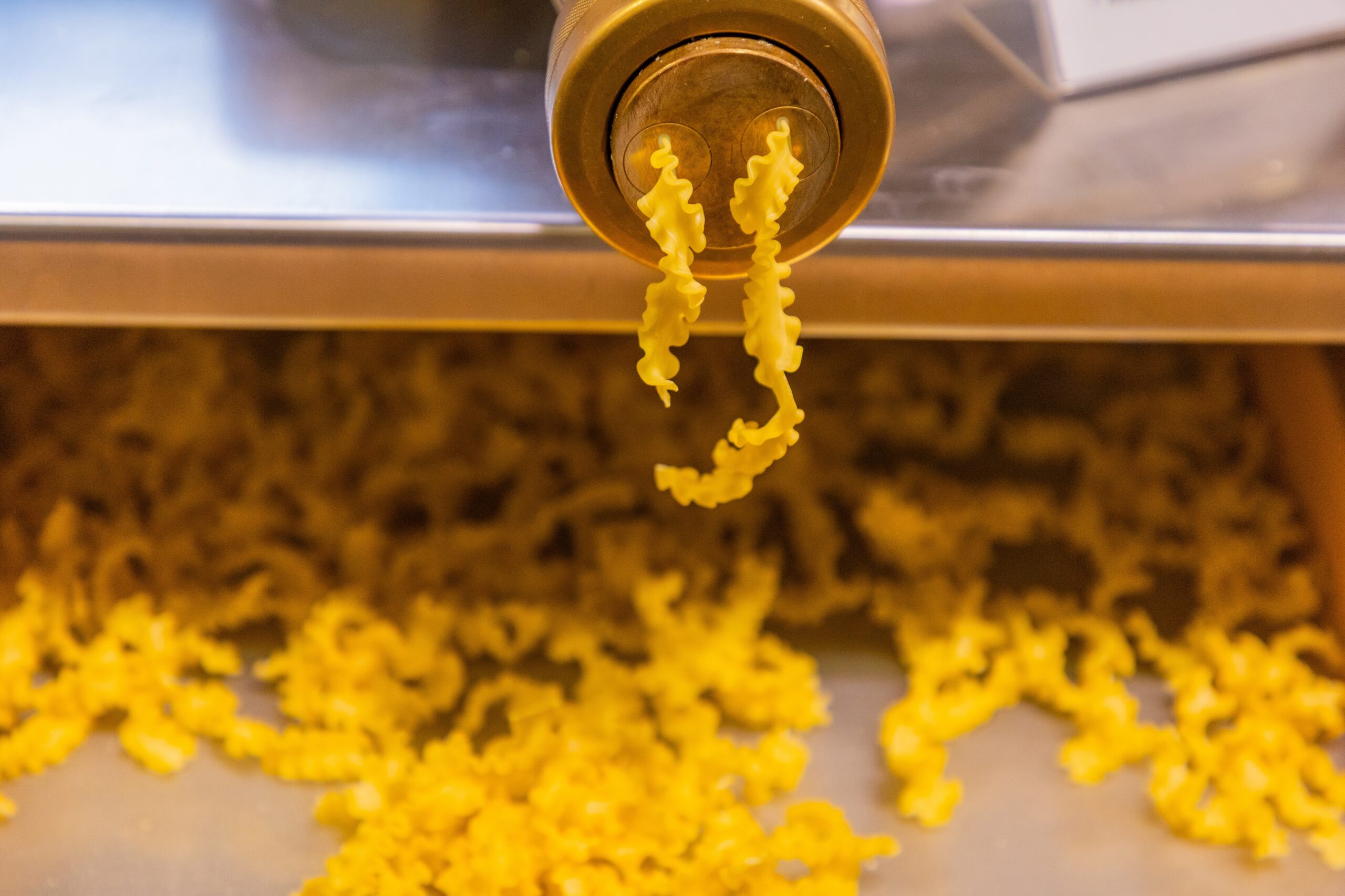 Mastering Extruded Pasta: Flour, Hydration & Building the Perfect Dough