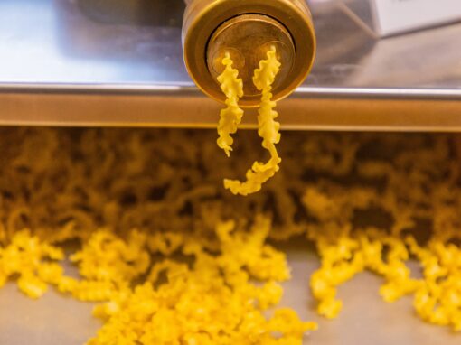 Semola Extruded Pasta Semola Extruded Pasta