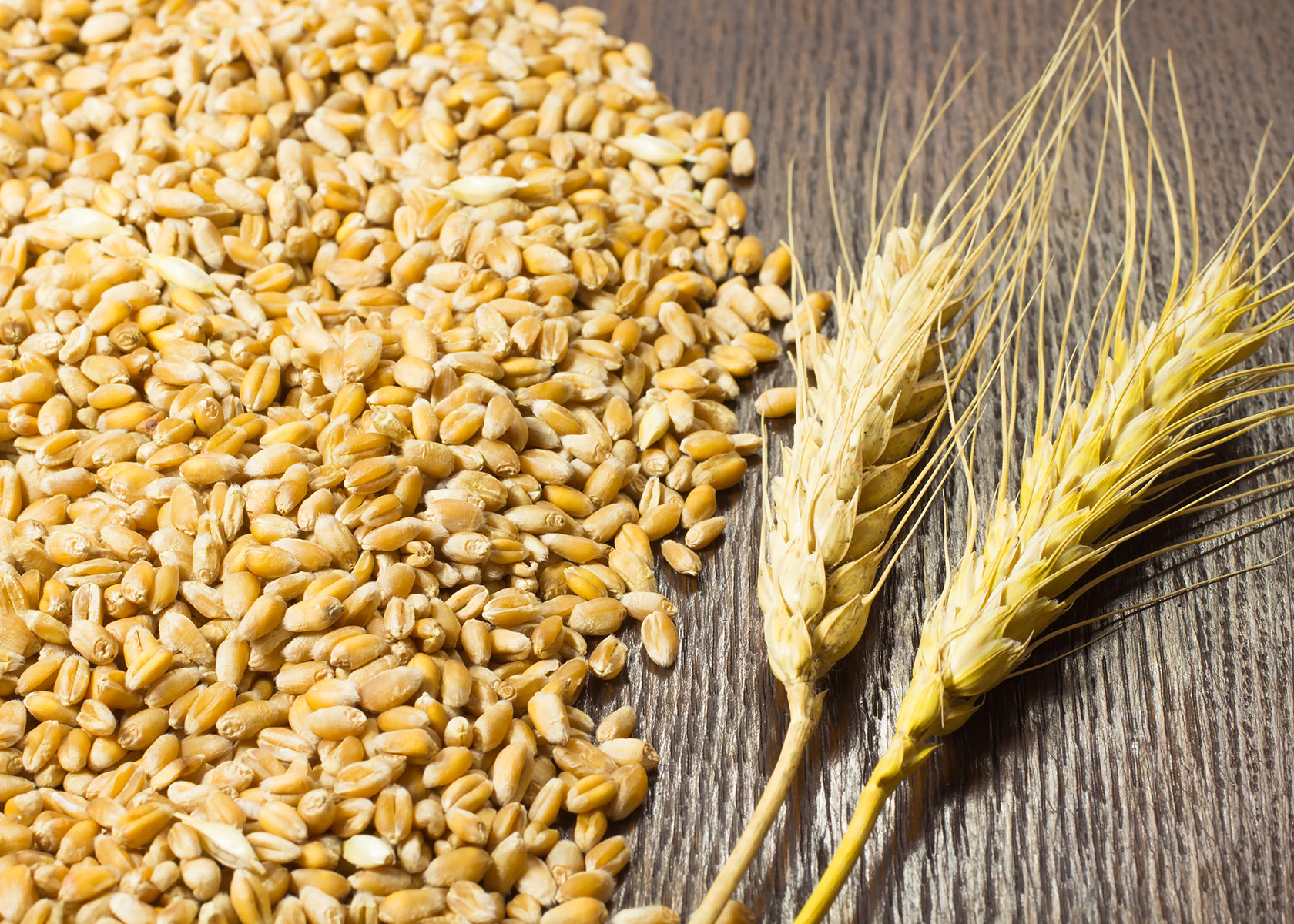 Durum Wheat