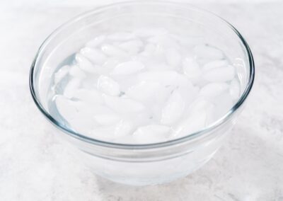 Bowl of Ice Water